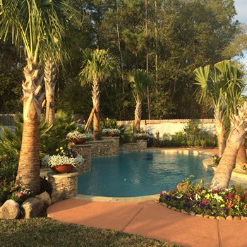 Pool Collection 9